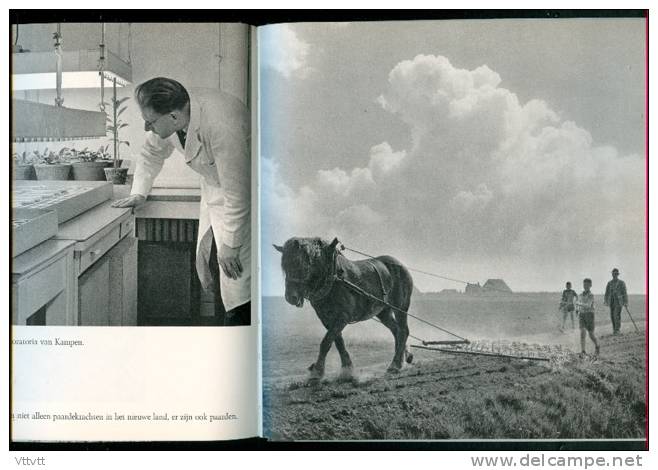 LAND UIT ZEE, De Zuiderzee Bedwongen, Dr. Sj. Groenman (95 Photos) De Indijking, De Drooglegging, De Nieuwe Samenleving - Geographie