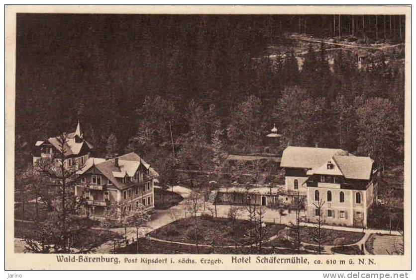 Deutschland-Sachsen, Wald-Bärenburg,Post Kipsdorf In Sächs.Erzgeb, Hotel Schäfermühle, Gelaufen Ja 1929 - Kipsdorf