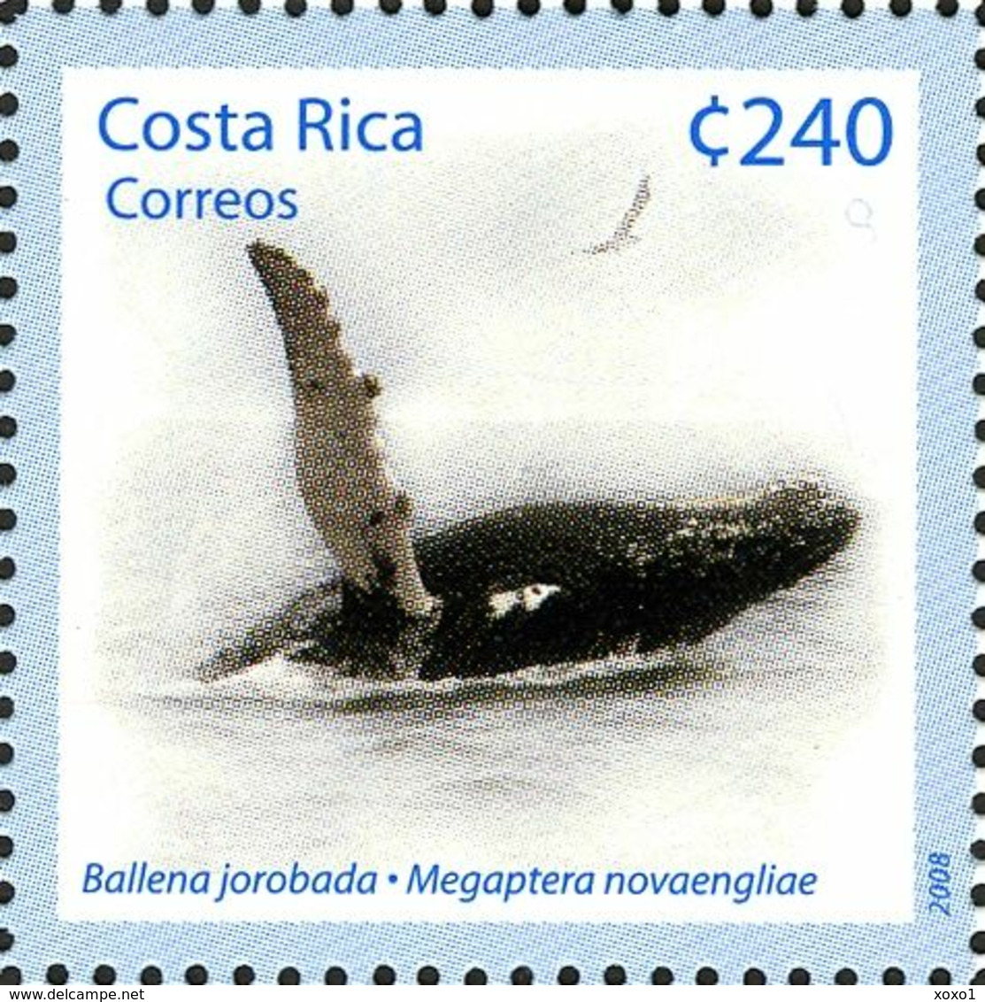 Costa Rica 2008 MiNr. 1701 - 1704 (Block 26) Whales Dolphins 1bl MNH** 19,00 € - Dolphins