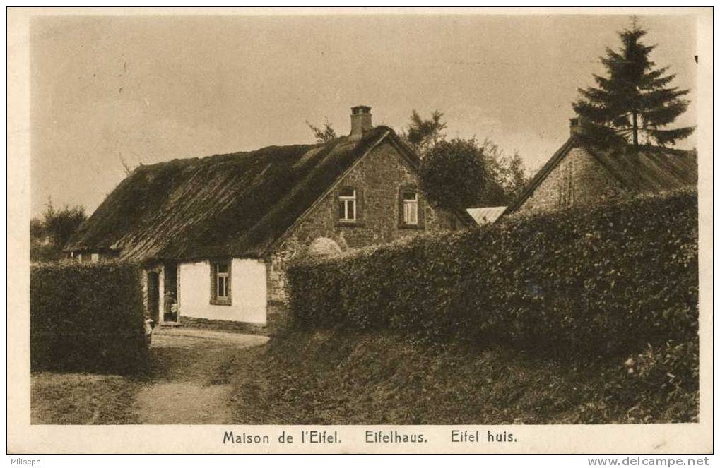 EIFEL ( Maison De L' ) - EIFELHAUS - EIFEL HUIS - - Elsenborn (camp)
