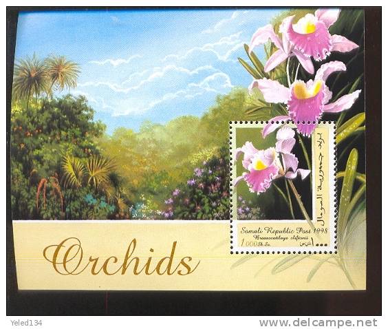 MINT NEVER HINGED SOUVENIR SHEET OF FLOWERS - ORCHIDS   #  756-1   ( SOMALIA  1998  30 - Otros & Sin Clasificación