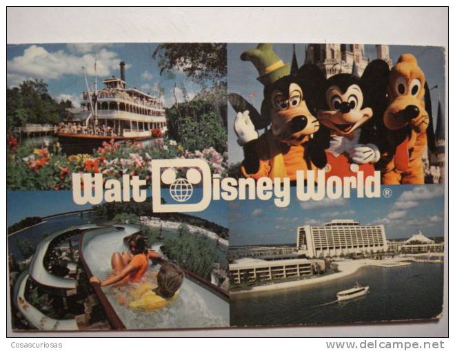 329 DISNEYLAND  ORLANDO FLORIDA USA POSTCARD OTHERS SIMILAR IN MY STORE - Orlando