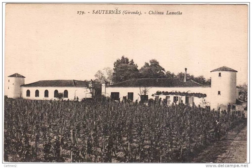 SAUTERNES CHATEAU LAMOTHE VIGNES VIGNOBLE 33 - Lesparre Medoc