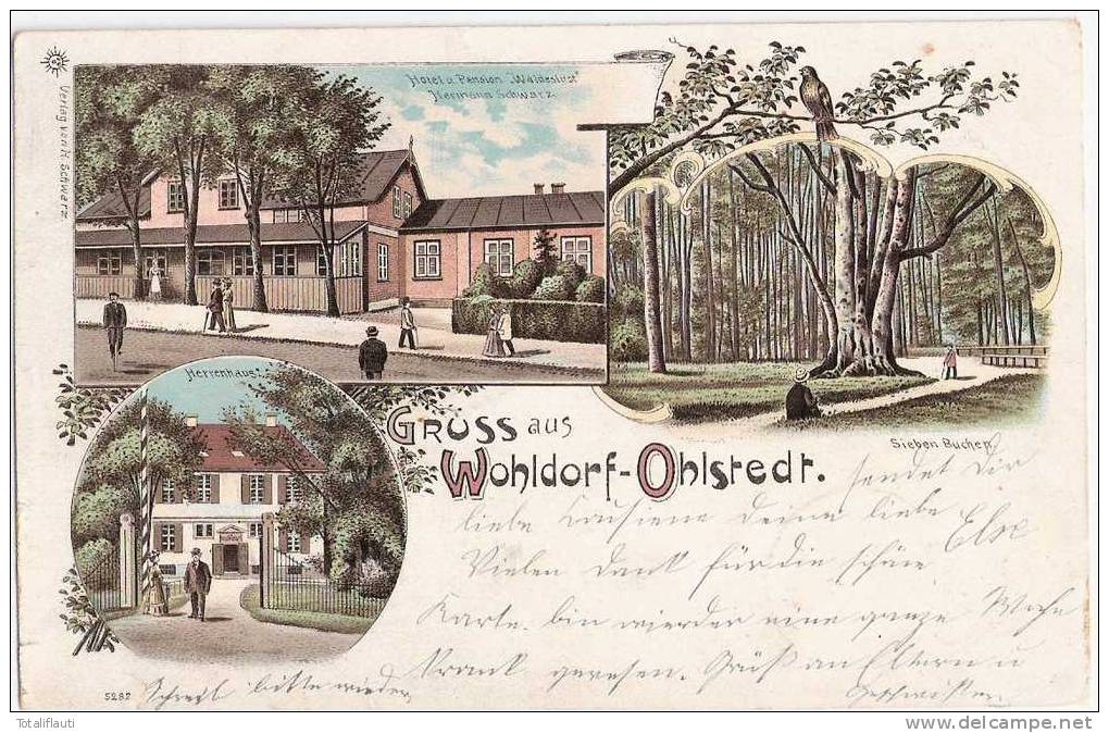 Hamburg Wohldorf Ohlstedt Color Litho Pension Waldeslust Inh Hermann Schwarz 7 Buchen Herrenhaus 16.9.1903 - Wandsbek