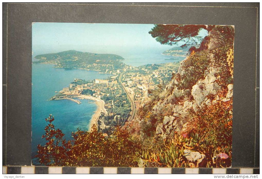 COTE D'AZUR    VUE SUR LE CAP FERRAT  AU 1ER PLAN BEAULIEU SUR MER  AU FOND VILLEFRANCHE ET SA RADE - Beaulieu-sur-Mer