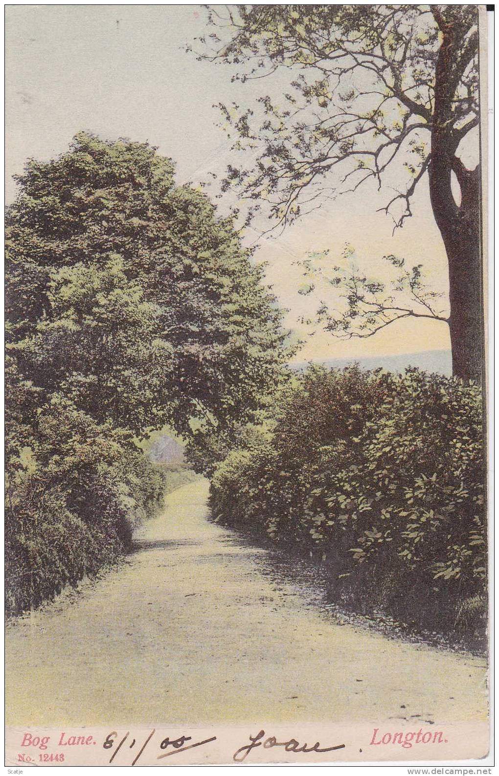 Longton;  Bog Lane 1905 - TAX - Stoke-on-Trent