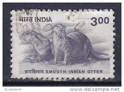 India 2000 Mi. 1771    3 R Indischer Fischotter (Lutra Perspicillata) - Gebraucht