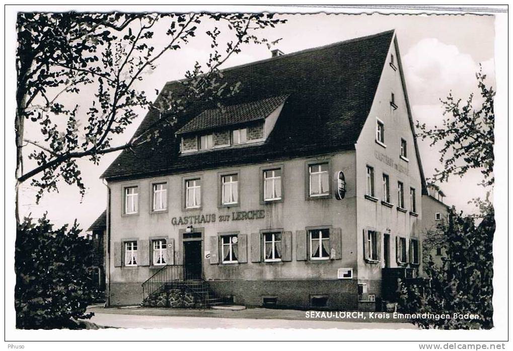 D2222   EMMENDINGEN : Gasthaus Zur Lerche - Emmendingen