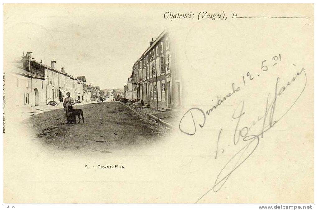 CHATENOIS Grande Rue Voyagée Timbrée En 1901 - Chatenois