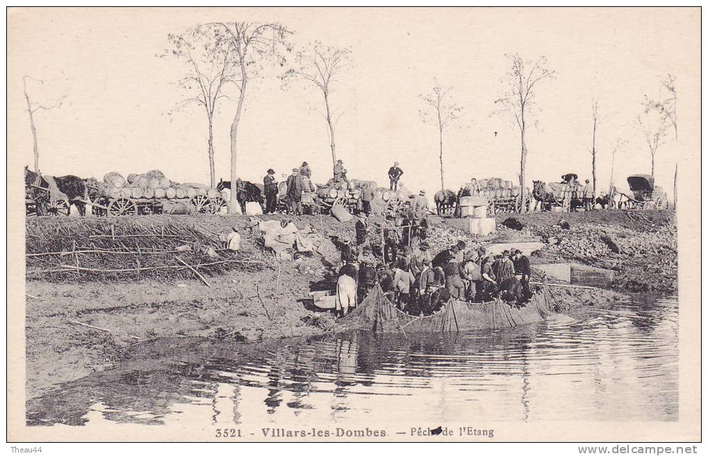 ¤¤ 3521 - VILLARS-les-DOMBES - Pêche De L'étang - Pêcheurs Aux Filets  ¤¤ - Villars-les-Dombes