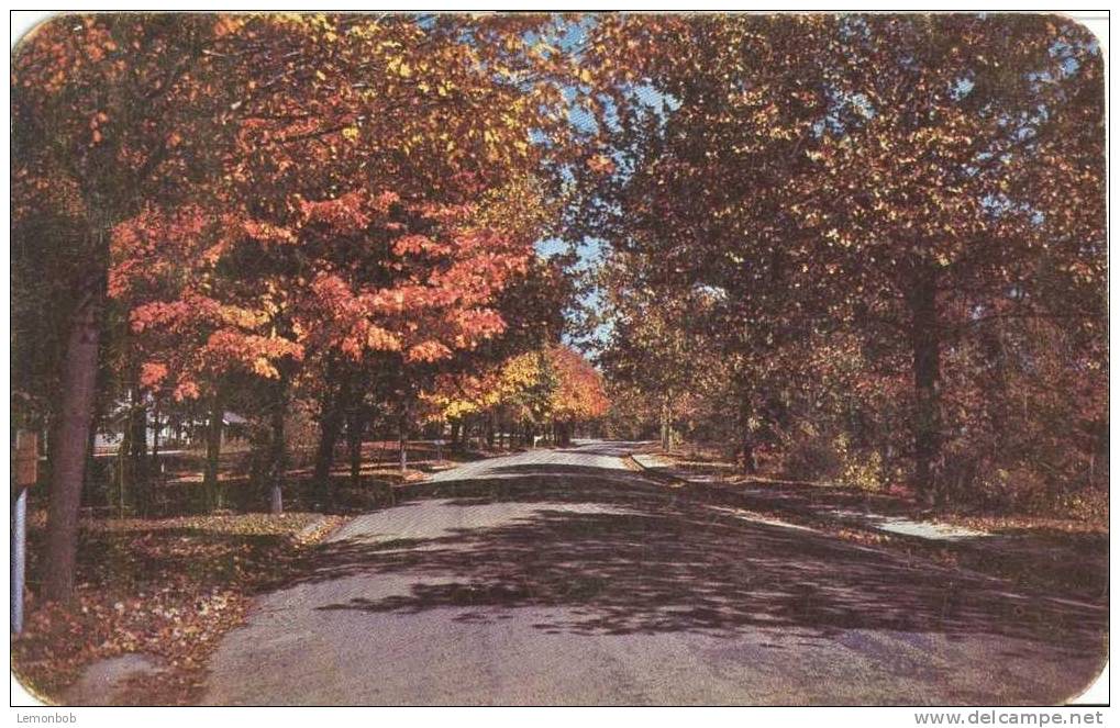 USA – United States – Grand View Drive In Peoria, Illinois Unused Postcard [P4048] - Peoria