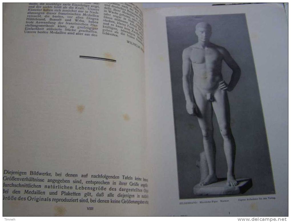 Moderne Plastik 150 Abbildungen WILHELM RADENBERG KARL ROBERT LANGEWIESCHE BLAUEN BÜCHER - Pittura & Scultura