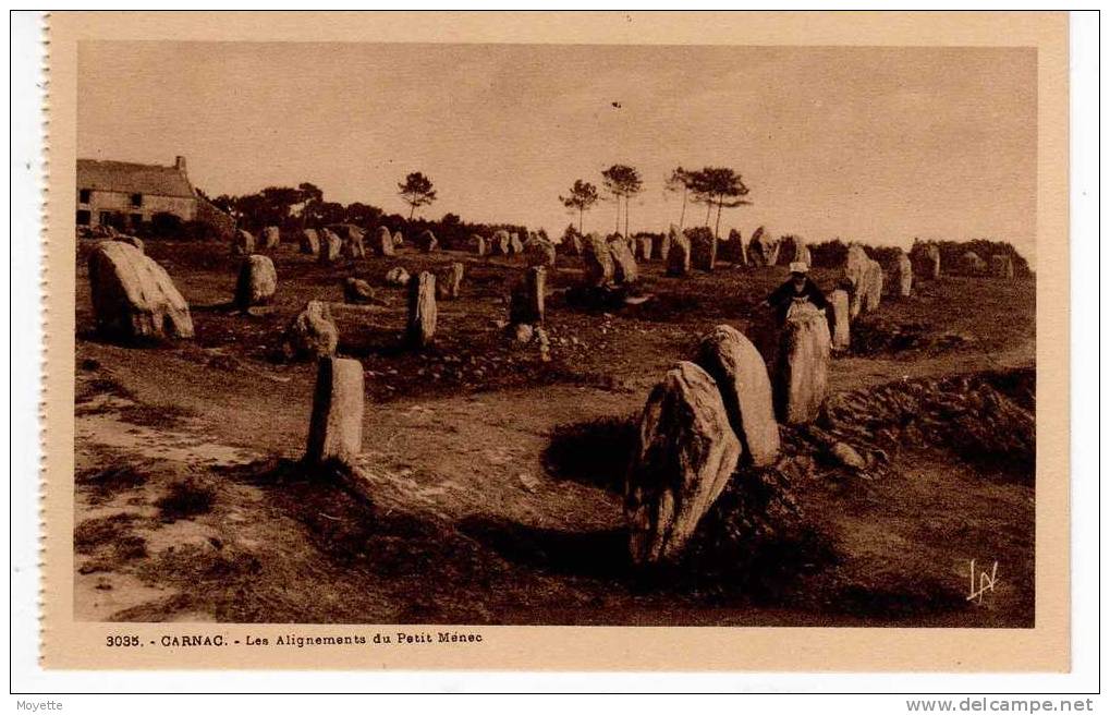 CPA-56-CARNAC- LES ALIGNEMENTS DU PETIT MENEC - Dolmen & Menhirs