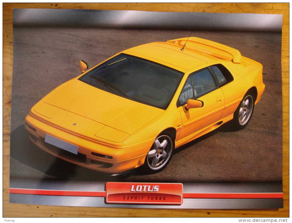 LOTUS ESPRIT TURBO - FICHE VOITURE GRAND FORMAT (A4) - 1998 - Auto Automobile Automobiles Voitures Car Cars - Auto's