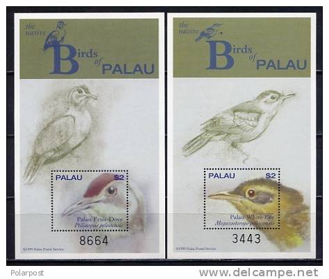 KR-9-2. PALAU 2000. BIRDS - Other & Unclassified