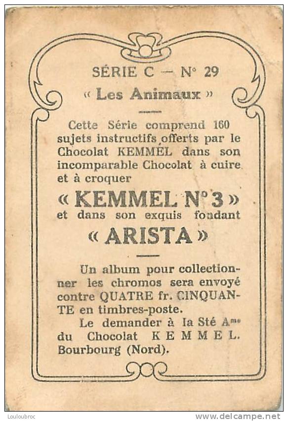 CHROMO PUBLICITE CHOCOLAT KEMMEL ARISTA LES ANIMAUX  SERIE C N°29 MANGOUSTE - Other & Unclassified