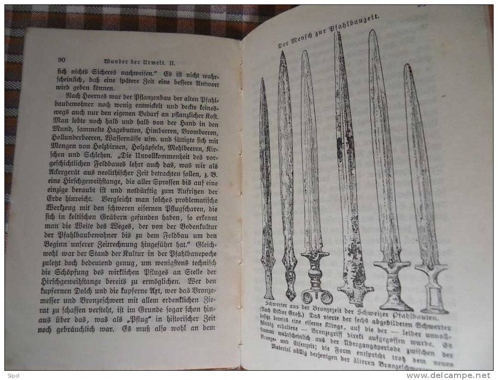 Wunder Der Urwelt  Naturwissenschaftliche Plaudereien II  -C.Von Neumann - Korte Verhalen