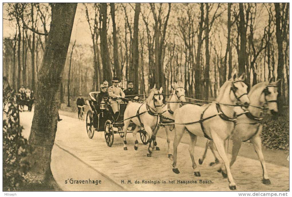 S'GRAVENHAGE - H. M. Koningin In Het Haagsche Bosch - Annimée, Bel Attelage Avec Chevaux - Sonstige & Ohne Zuordnung