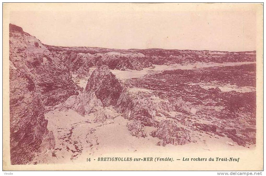 Vendée 85-106 Brétignolles : Les Rochers Du Trait-Neuf - Bretignolles Sur Mer