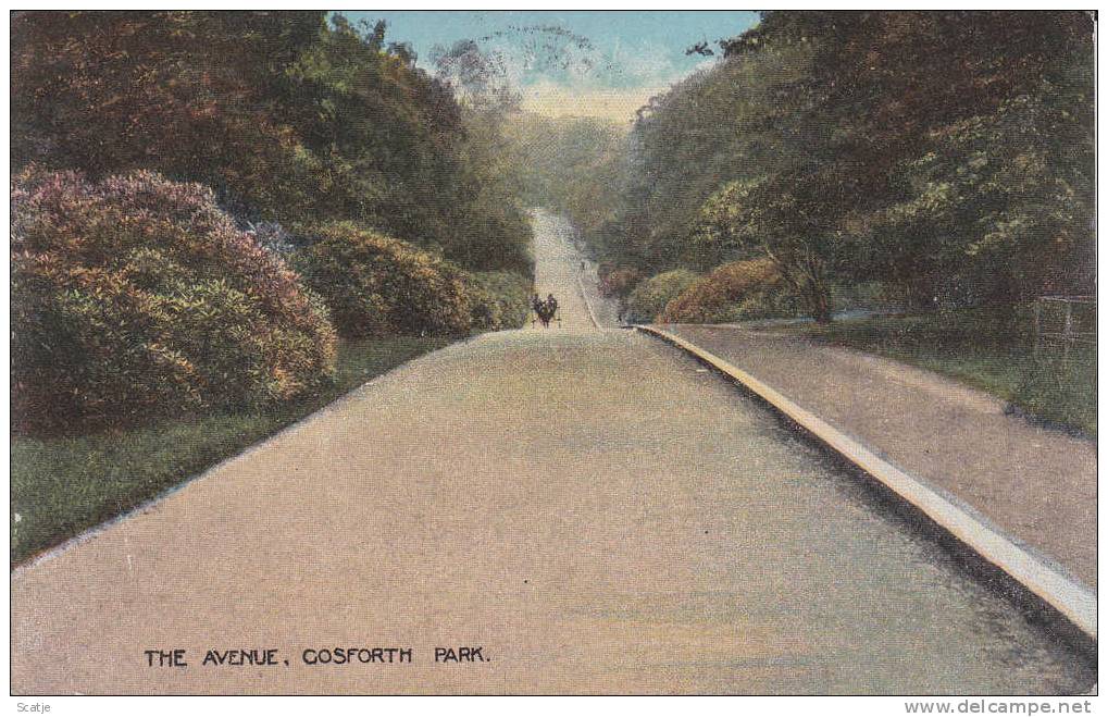 Gosforth Park,  The Avenue;  1920 - Altri & Non Classificati