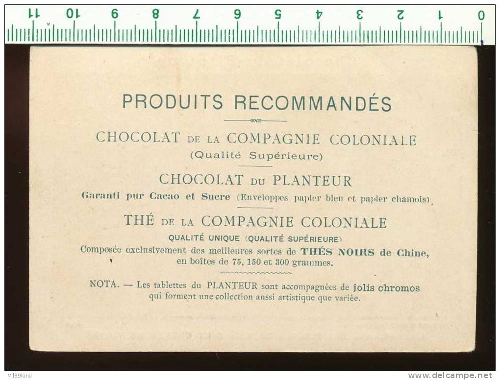 Chocolat Du Planteur - Militaire N° 10 - Une Ligne De Combat S´ Avance - Goupil - Autres & Non Classés
