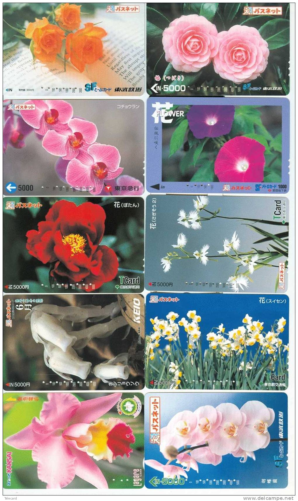LOT De 50 Cartes Prépayées Japon - FLEUR - FLEURES Japan Prepaid Cards * FLOWERS * BLUMEN * BLOEMEN (23) - Flores