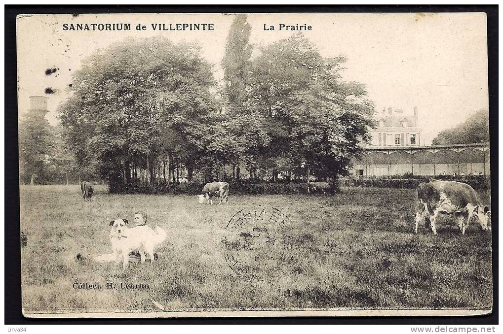 CPA  ANCIENNE- FRANCE- VILLEPINTE (93)- LA PRAIRIE DEVANT LE CHATEAU- VACHES BROUTANT- GARDIENNE AVEC SON CHIEN- - Villepinte