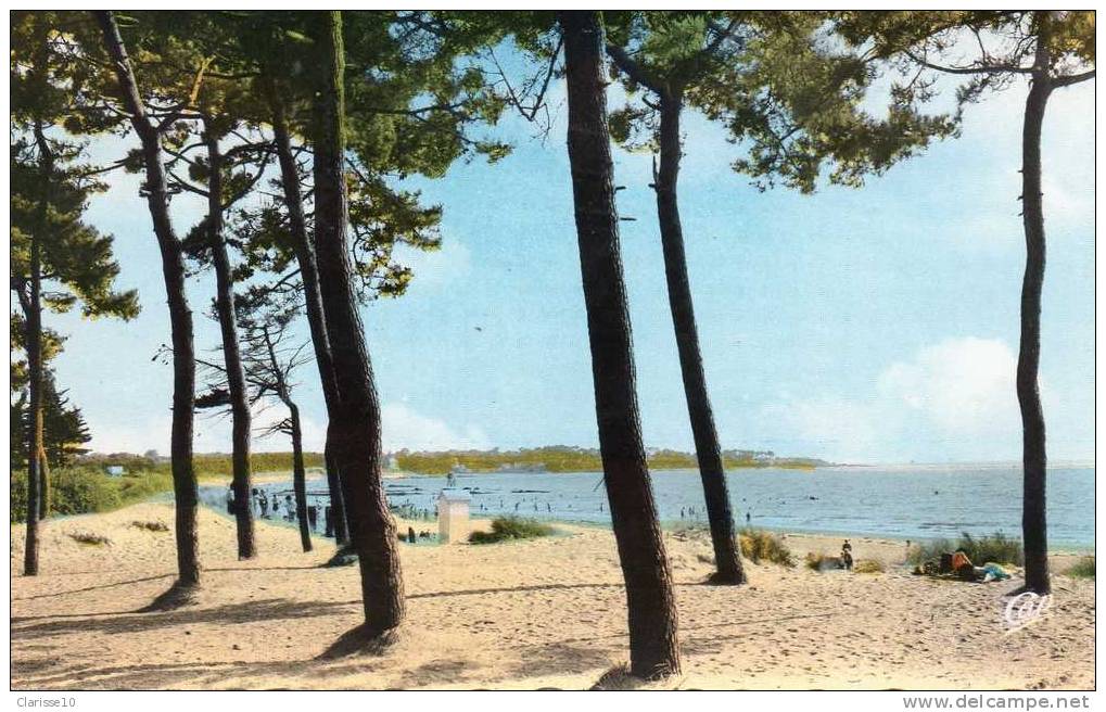 44 CPSM Saint Brevin La Plage Et  Les Pins - Saint-Brevin-les-Pins