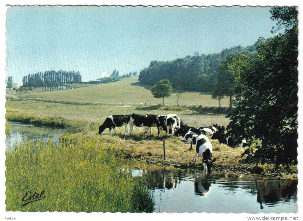 Carte Postale 78. Beynes  Les Vaches En Pature Aux Bords De La Mauldre  Trés Beau Plan - Beynes