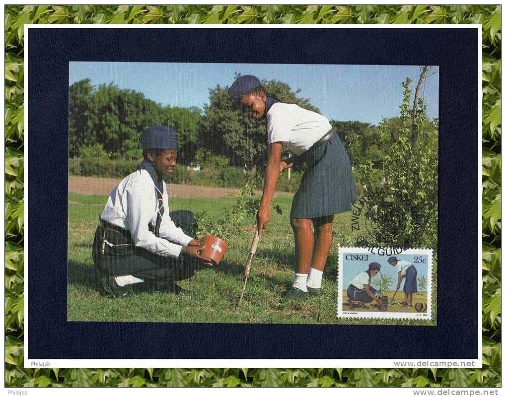 AFRIQUE DU SUD 1985 CM " Filles Guides Scouts" En Parfait état. + Prix Dégressif. - Sonstige & Ohne Zuordnung