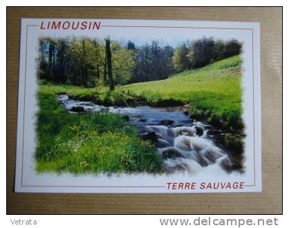 Carte Postale :  Limousin, Terre Sauvage - Limousin