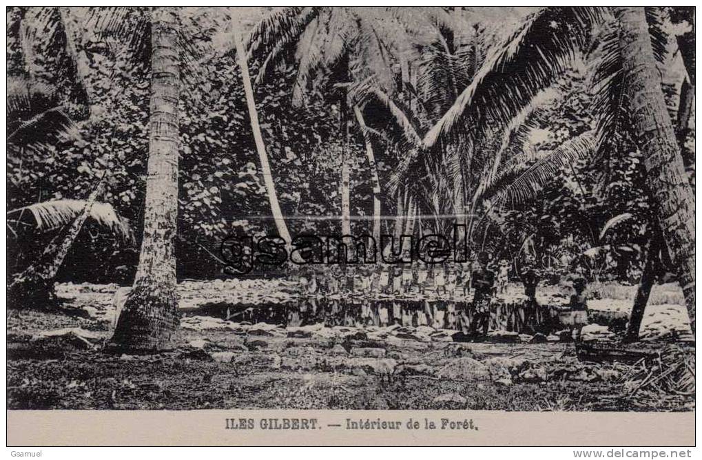 Océanie - Micronésie : Iles Gilbert. - Intérieur De Forêt. - (voir Scan-recto-verso). - Mikronesien