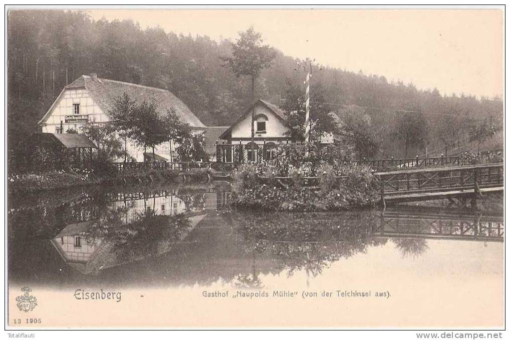 Eisenberg Gasthof Naupolds Mühle Von Der Teichinsel Aus GesehenTOP-Erhaltung Ungelaufen - Eisenberg