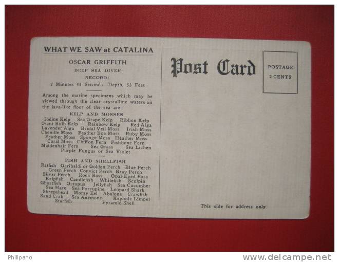 Deep Sea Diver -----Oscar Griffith   Catalina Ca  Ca 1910    --   ---   -----   -ref 217 - Natation