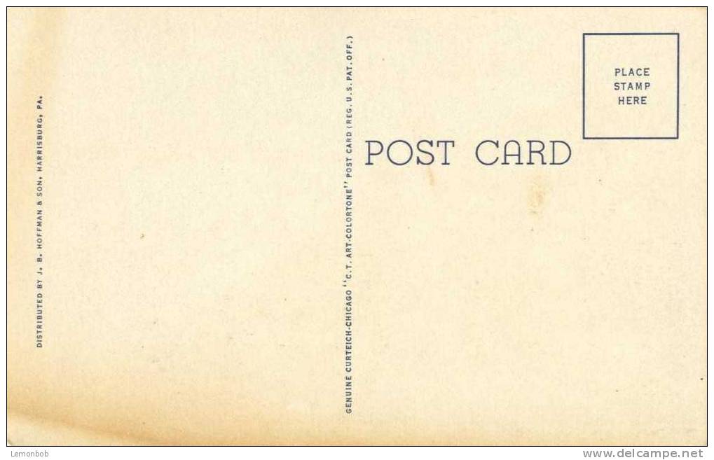 USA – United States –  View Along Riverfront Park, Harrisburg, Pa - Unused Linen Postcard [P4218] - Harrisburg