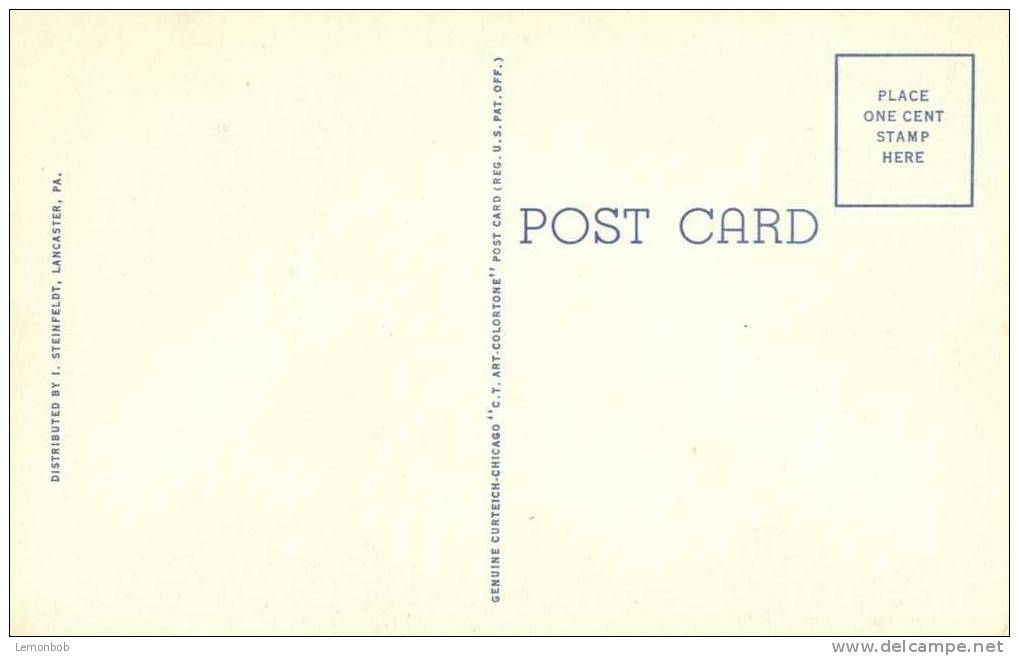 USA – United States – McCaskey High School, Lancaster, Pa, Unused Linen Postcard [P4229] - Lancaster