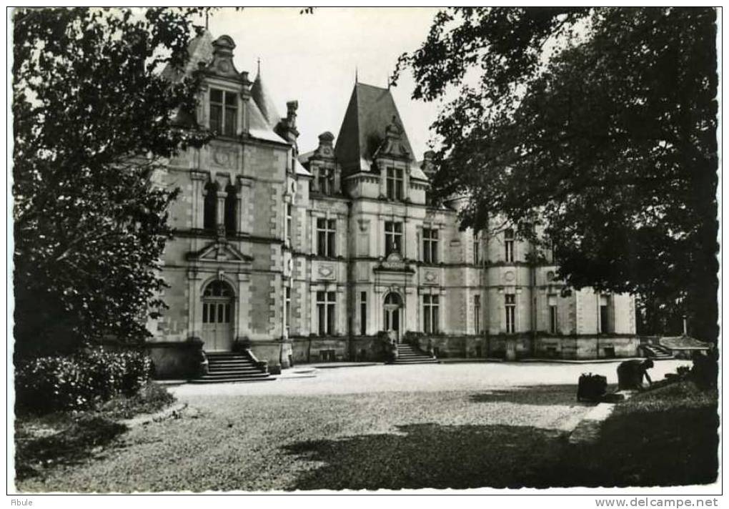 86 - VOUNEUIL SOUS BRIARD Château De Boivre - Vouneuil Sous Biard