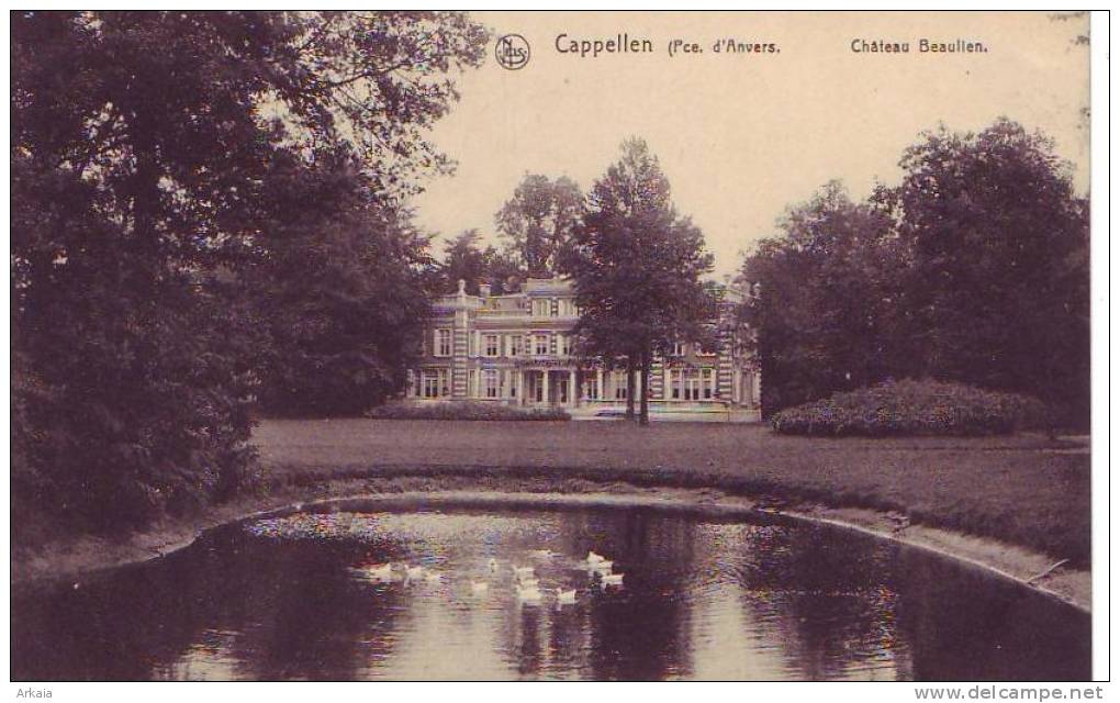 CAPPELLEN = Château Beaulien  (Nels  Bxl  N° 126) Vierge - Kapellen