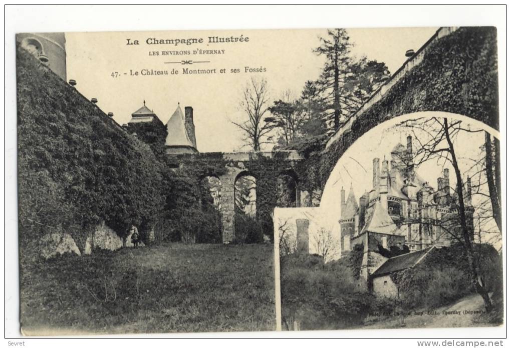 MONTMORT. - Le Château Et Ses Fossés - Montmort Lucy