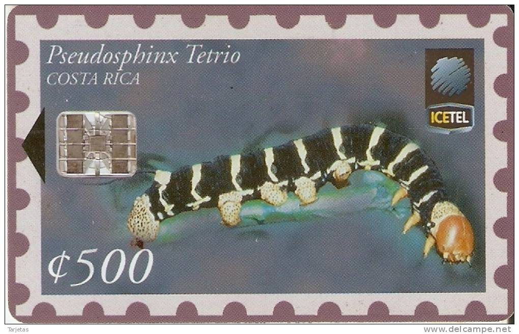 TARJETA DE COSTA RICA CON UN SELLO DE UNA ORUGA  (STAMP) - Costa Rica