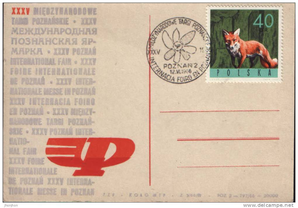 Poland-Postcard 1966-The Fox - Gibier