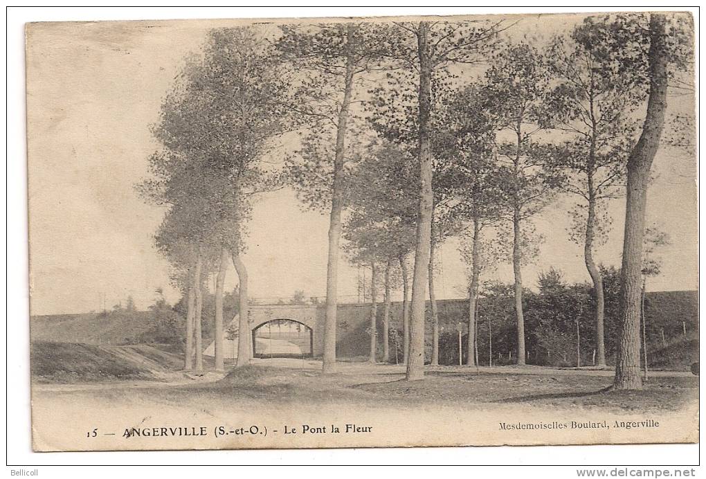 15  -  ANGERVILLE  (S Et O)  Le Pont La Fleur - Angerville