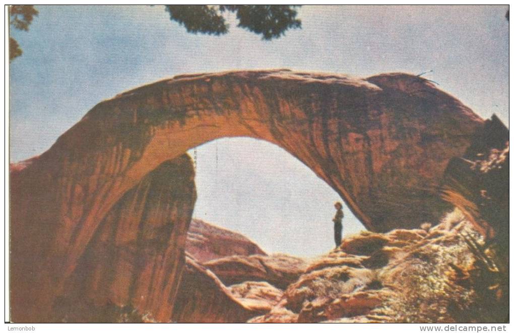 USA – United States –  Rainbow Bridge, Utah Unused Postcard [P4340] - Andere & Zonder Classificatie