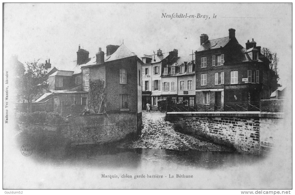 Marquis, Chien Garde Barrière, La Béthune - Neufchâtel En Bray