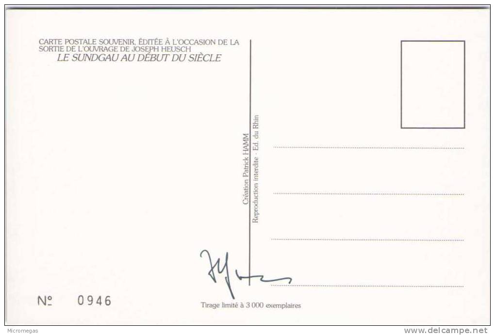 Patrick HAMM - Le Sundgau Au Début Du Siècle - Hamm