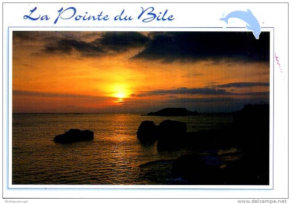 56 PENESTIN POINTE DU BILE - Pénestin