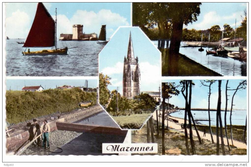 Marennes - Multivues - Marennes