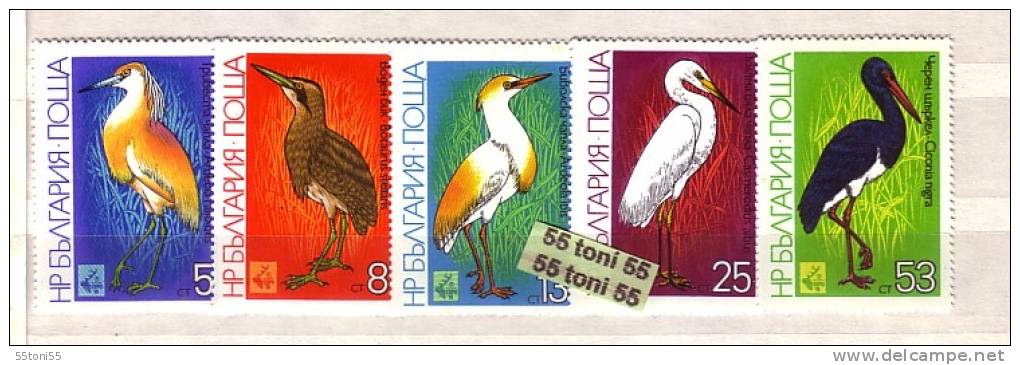 1981 Fauna BIRDS - EXPO 81 5 V.- MNH   BULGARIA / Bulgarie - Other & Unclassified