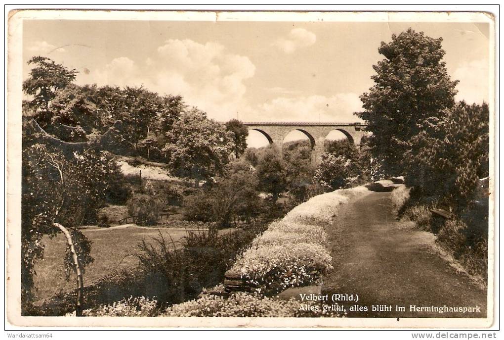 AK Velbert (Rhld.) Alles Grünt, Alles Blüht Im Herminghauspark 26.2.33-15 VELBERT (RHEIN) D Nach Atzbach Bei Wetzlar - Velbert