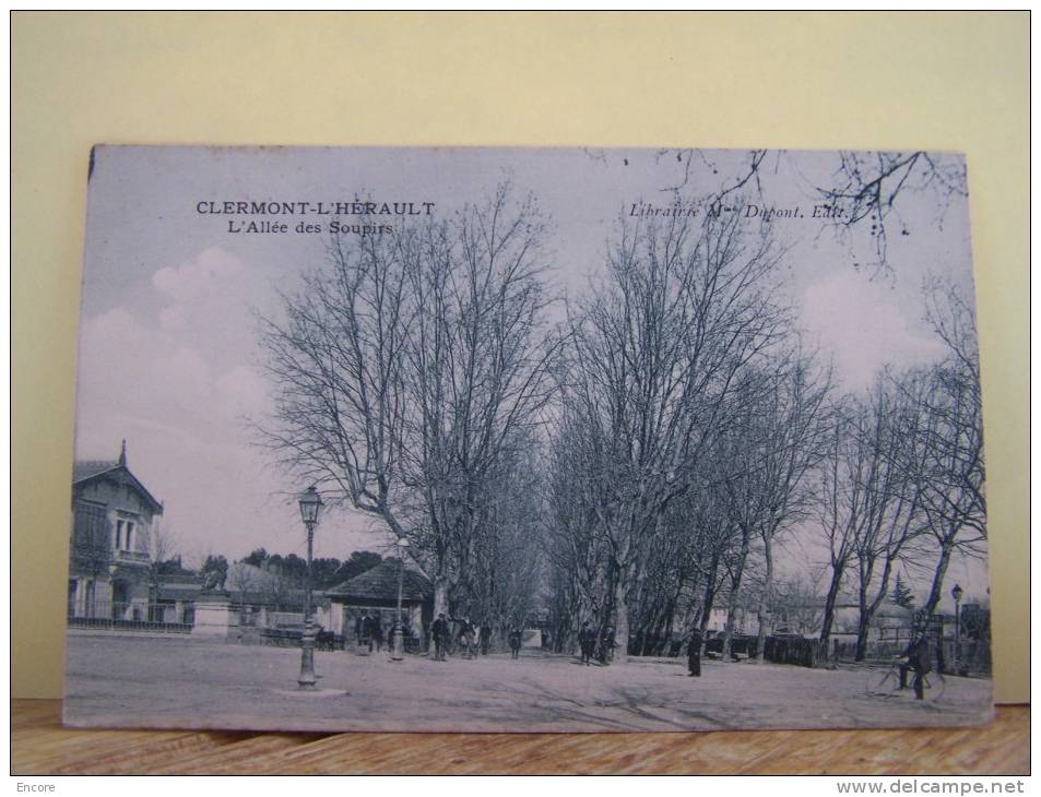 CLERMONT-L´HERAULT (HERAULT) L´ALLEE DES SOUPIRS.   8919 - Clermont L'Hérault